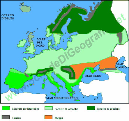 Cartina della flora in Europa