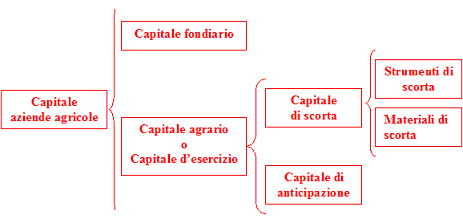 Capitali delle aziende agricole